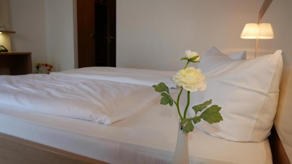 Hotel Garni Alte Post Schallbach